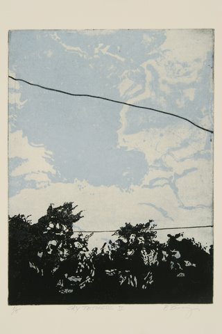 Aerial Mist # 1